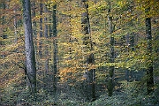 DSC0092.jpg 2