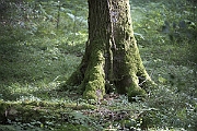DSC1486