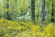 DSC3692.jpg 12