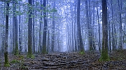 DSC5392-Pano