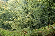 DSC5450