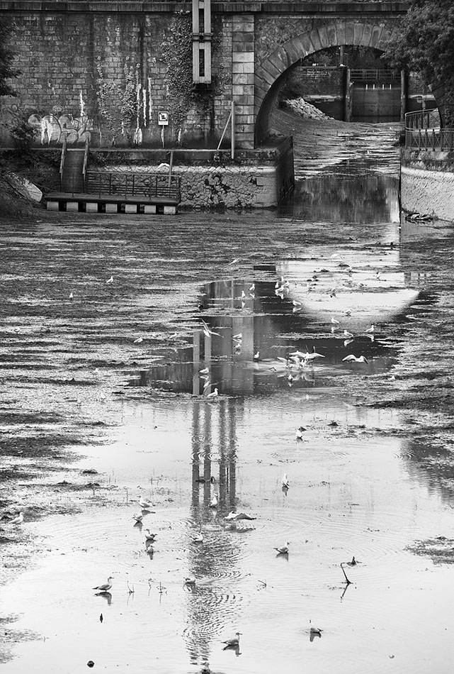 le pont des tabacs