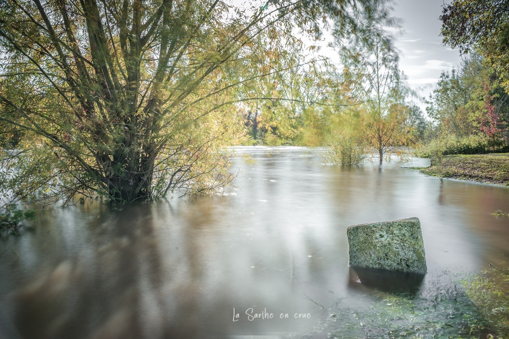 Fillé sur Sarthe