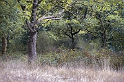 DSC1819