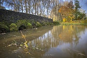 le vieux pont de Monbizot